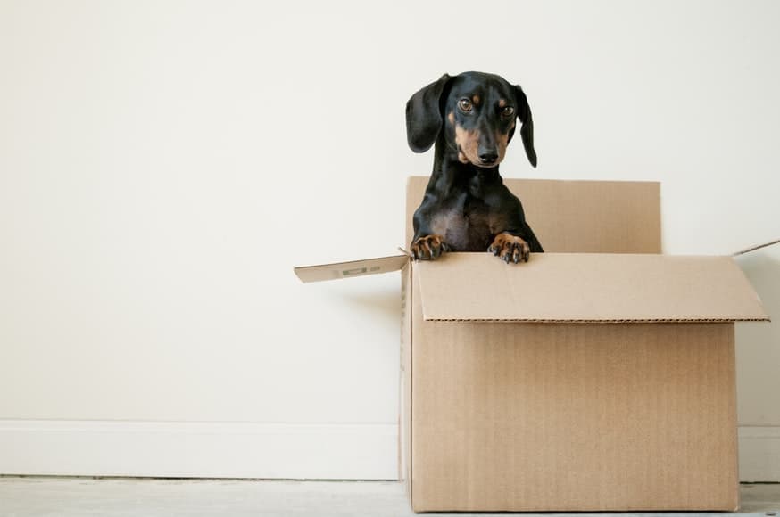 Best Moving Companies in Northwest Indiana