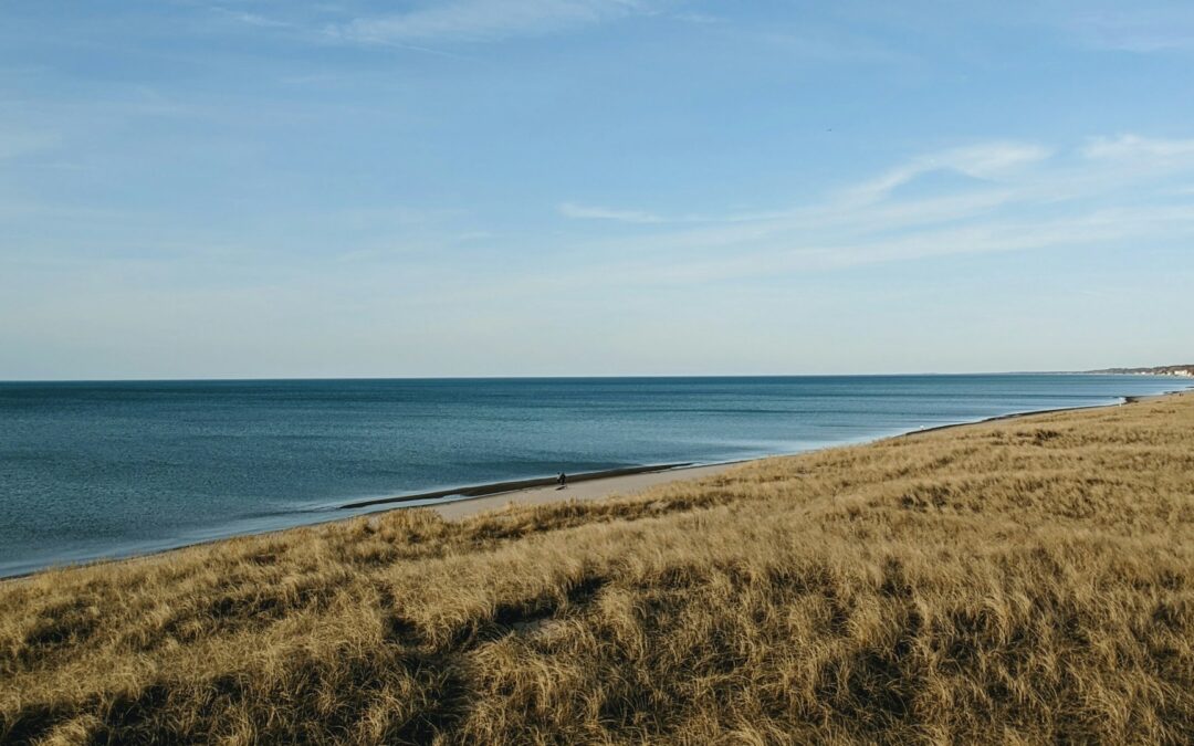 Lake Michigan shoreline near Indiana Dunes National Park