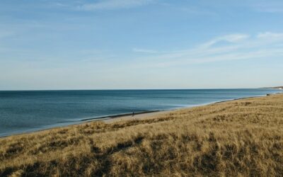 Things to Do at Indiana Dunes National Park